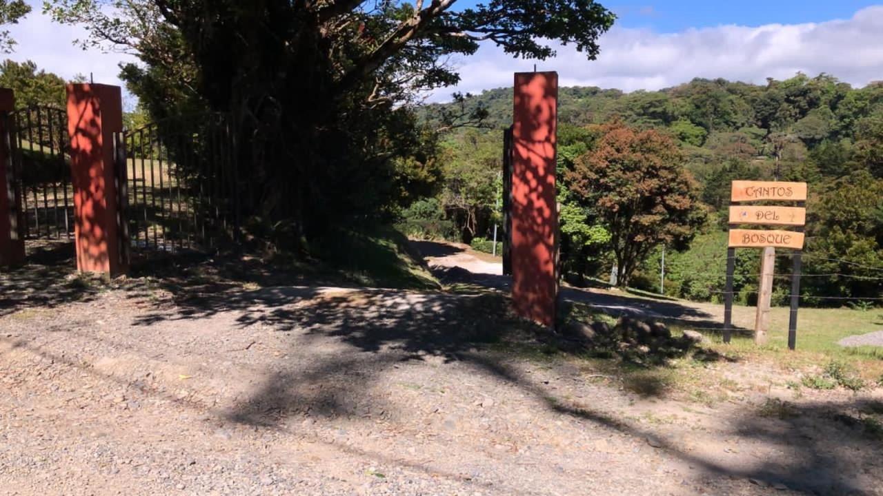 Cantos Del Bosque モンテベルデ エクステリア 写真
