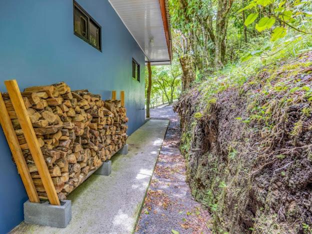 Cantos Del Bosque モンテベルデ エクステリア 写真